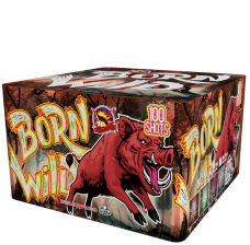 Ohňostroj Born wild 100 rán 25 mm 1ks